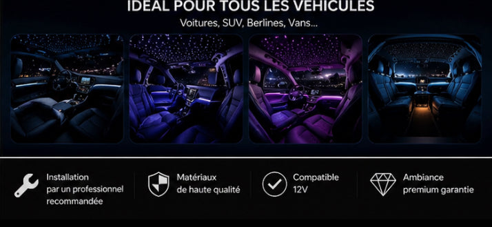 Kit ciel étoilé LED fibre optique 6W pour voiture avec contrôle musique